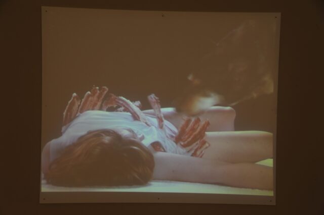 Corinna Korth, O.T., 2010, Videoinstallation