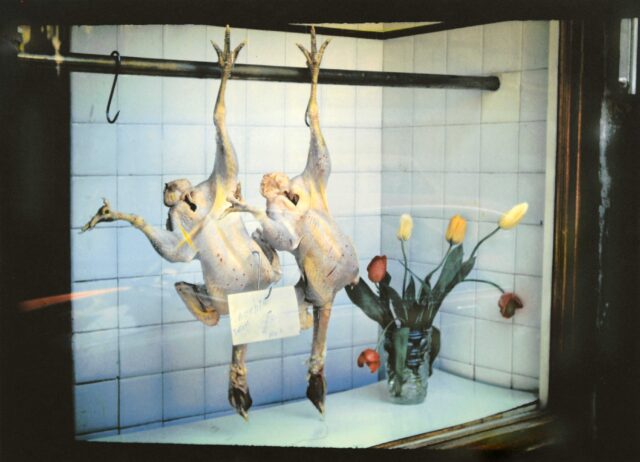 Manfred Riederer, Casting, 2010, Pigment-Inkjet-Druck, Acryl auf CMF, 42 x 57 cm