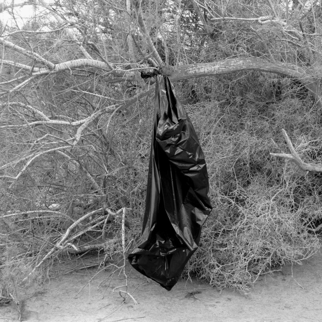 Boris von Brauchitsch, Maspalomas, 2007