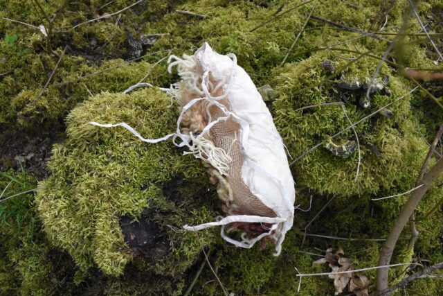Boglárka Balassa, Natural Entities I., 2023, Fotografie, 30 x 42 cm